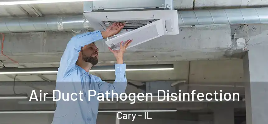  Air Duct Pathogen Disinfection Cary - IL
