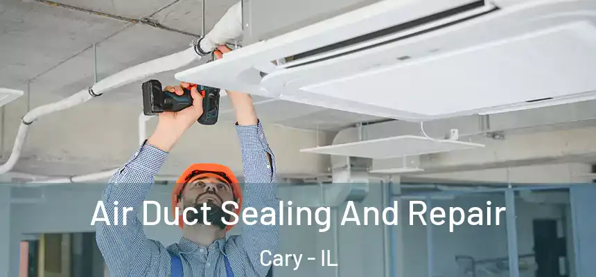  Air Duct Sealing And Repair Cary - IL