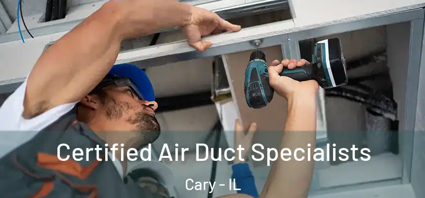  Certified Air Duct Specialists Cary - IL