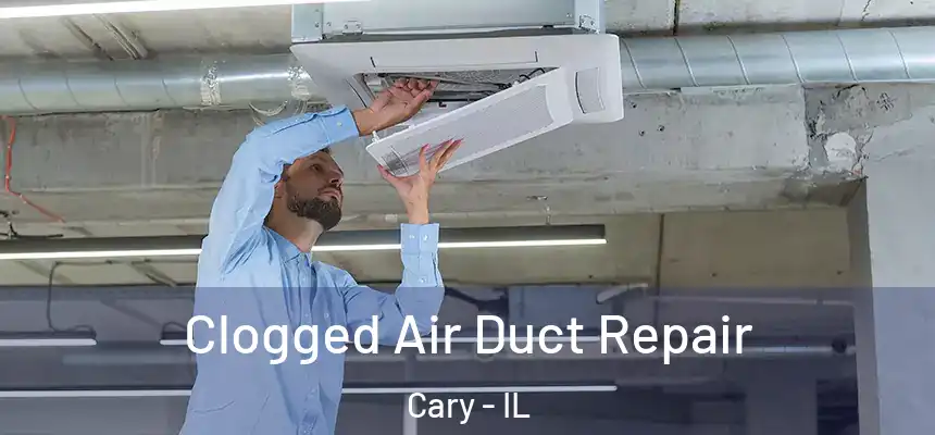  Clogged Air Duct Repair Cary - IL