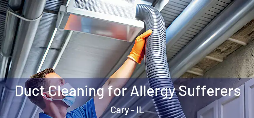  Duct Cleaning for Allergy Sufferers Cary - IL