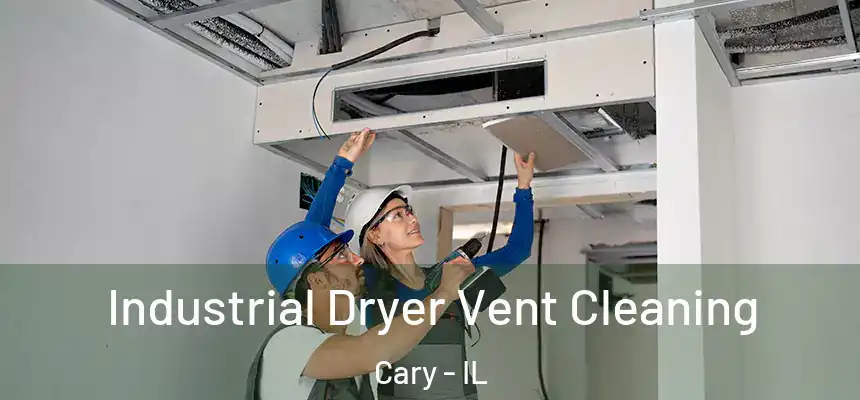  Industrial Dryer Vent Cleaning Cary - IL