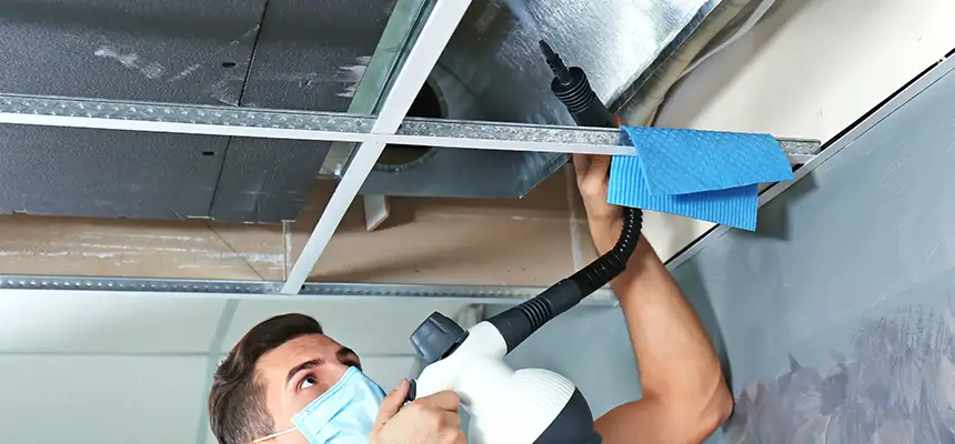 Our Air Duct Rodent Removal Services in Cary, IL