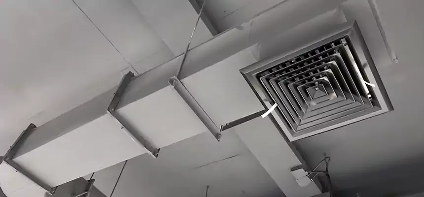 Our Pest Removal From Ducts Services in Cary, IL