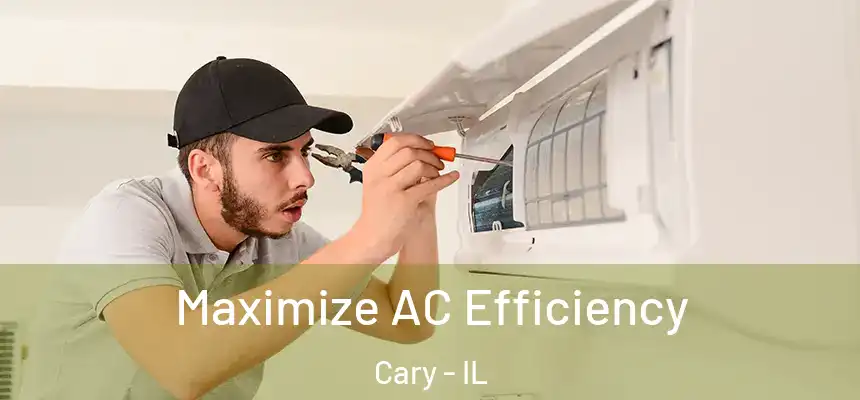  Maximize AC Efficiency Cary - IL