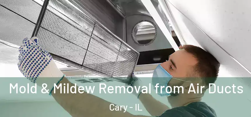  Mold & Mildew Removal from Air Ducts Cary - IL
