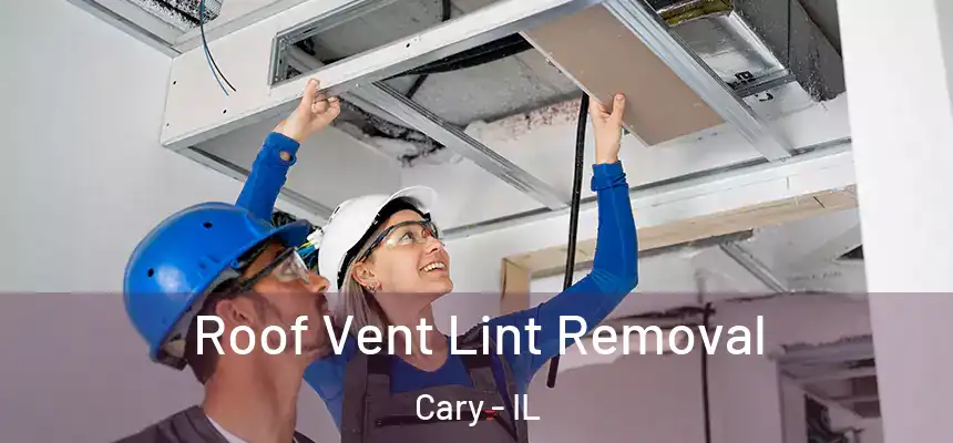  Roof Vent Lint Removal Cary - IL