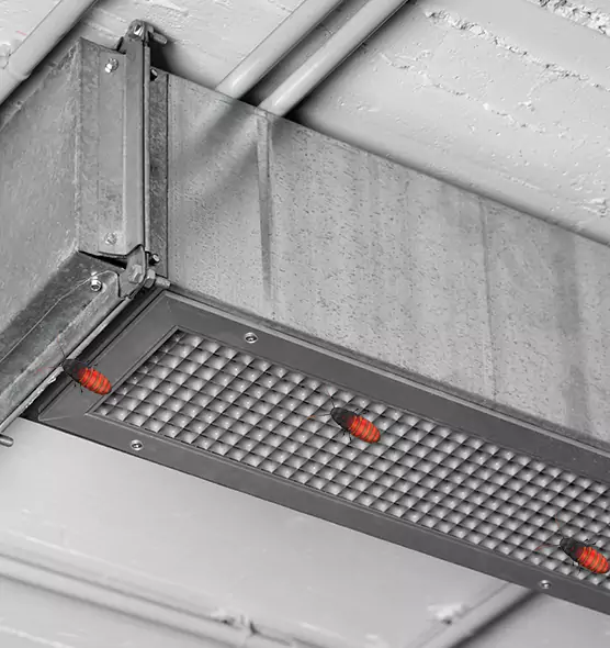 Affordable Insect Removal from Air Ducts in Cary, IL