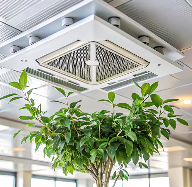 Why Homeowners & Businesses Trust Us in Cary, IL