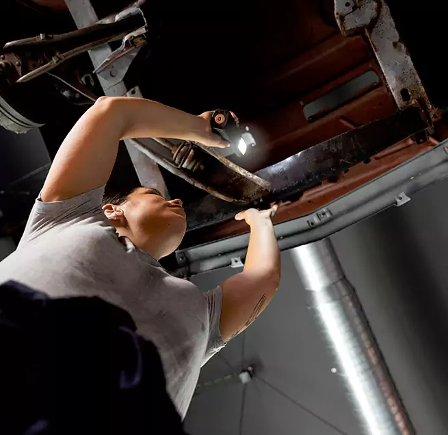 Why Homeowners & Businesses Trust Us Cary, IL