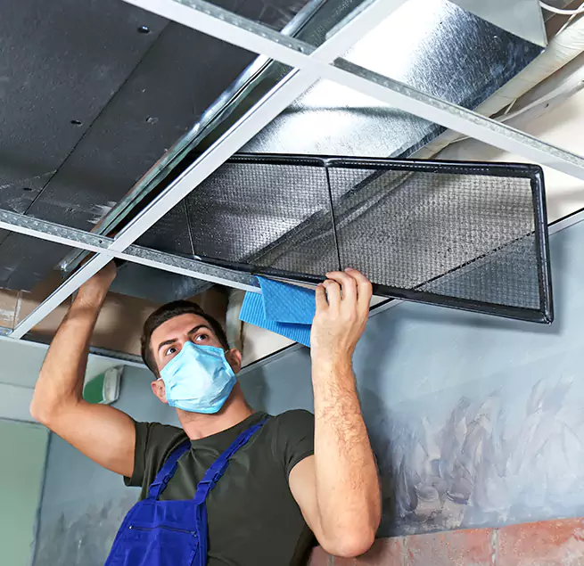 Why Homeowners & Businesses Trust Us in Cary, IL?