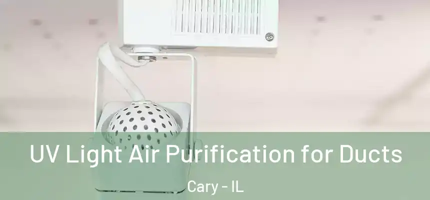  UV Light Air Purification for Ducts Cary - IL